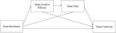 Can Team Resilience Boost Team Creativity Among Undergraduate Students? A Sequential Mediation Model of Team Creative Efficacy and Team Trust